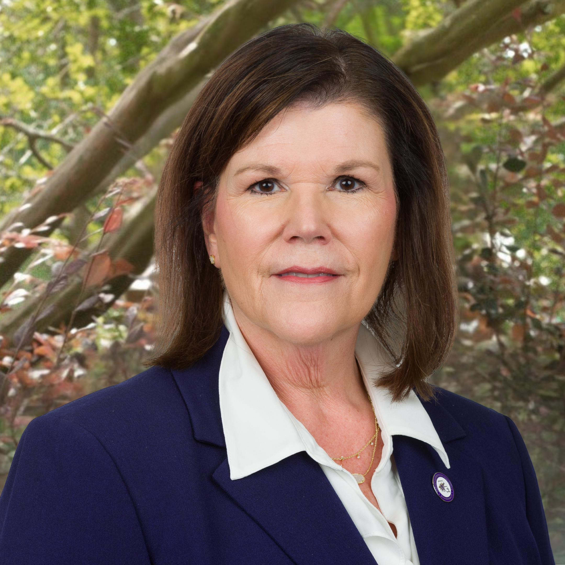Laurie Morrow Headshot Png
